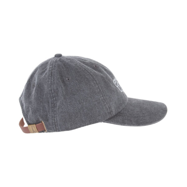 Dream Logo Overcast Greys Dad Hat