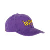 Dream Rider Grape Dad Cap