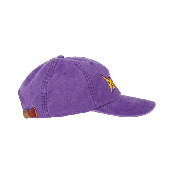 Dream Rider Grape Dad Cap