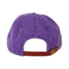 Dream Rider Grape Dad Cap