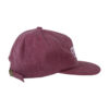 Dream Field Trip Hat - Berry