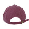 Dream Field Trip Hat - Berry